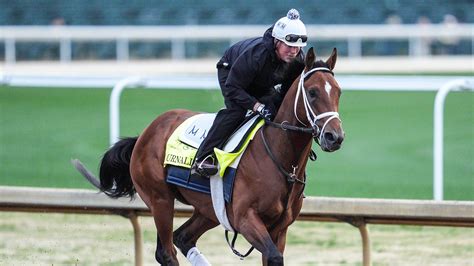 current kentucky derby odds 2023.